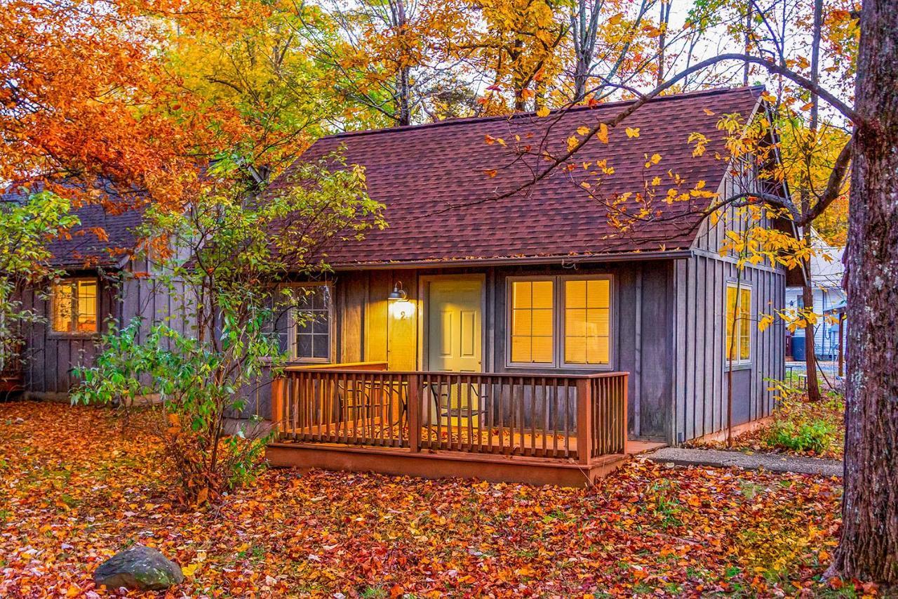 Love Ridge Mountain Lodging Lyndhurst Eksteriør bilde