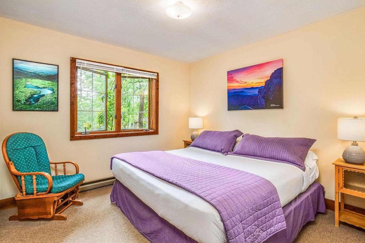 Love Ridge Mountain Lodging Lyndhurst Eksteriør bilde