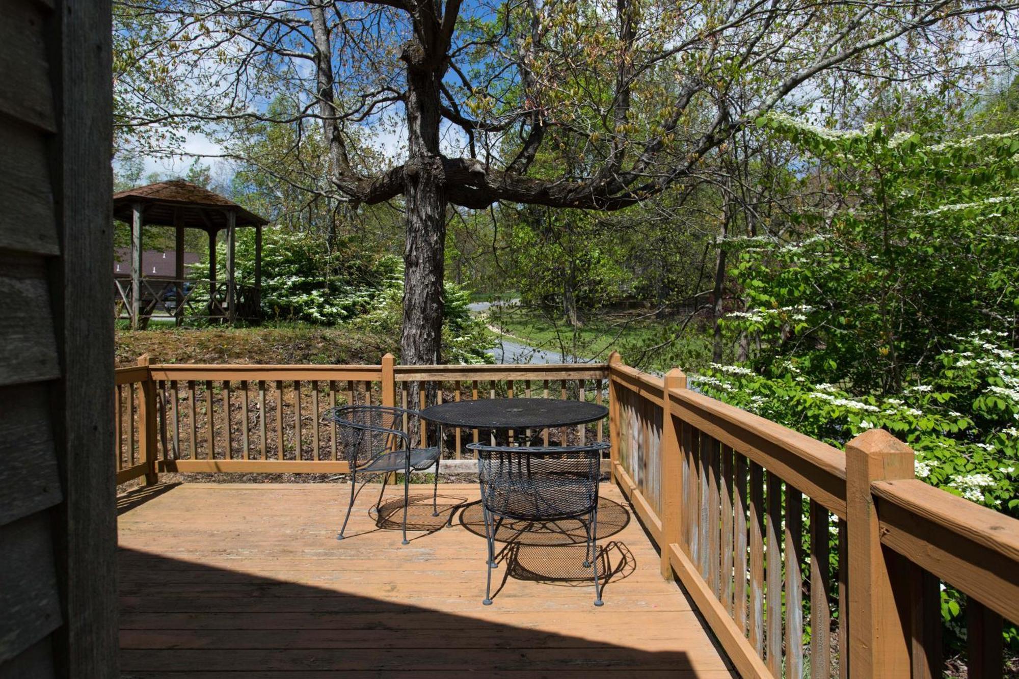 Love Ridge Mountain Lodging Lyndhurst Eksteriør bilde