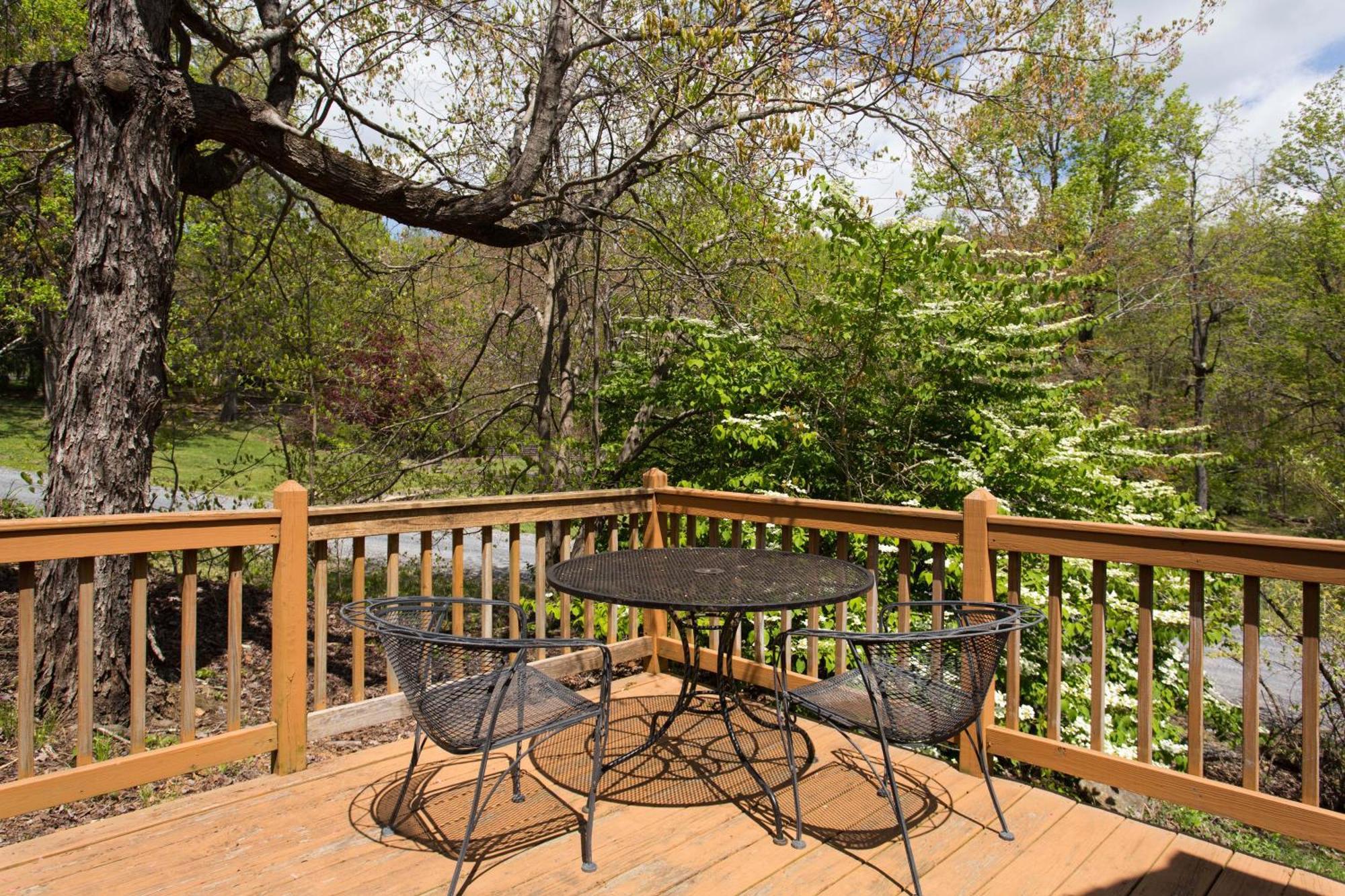 Love Ridge Mountain Lodging Lyndhurst Eksteriør bilde